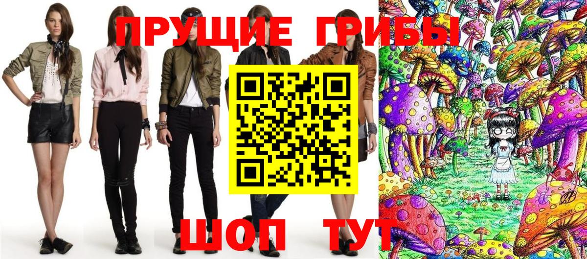 Галлюциногенные грибы Psilocybe Кириши